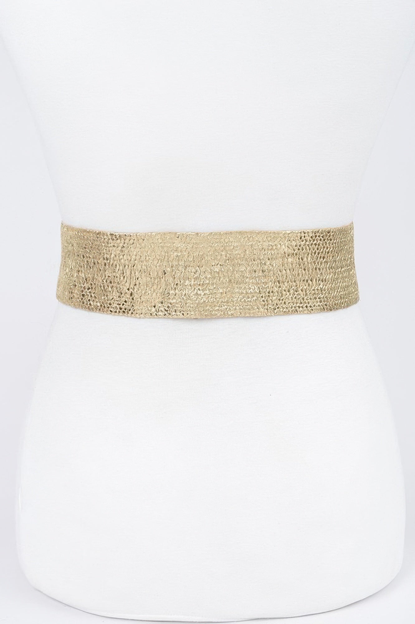 Wide Metal Buckle Plus Size Clear Belt - It's a Girly Place