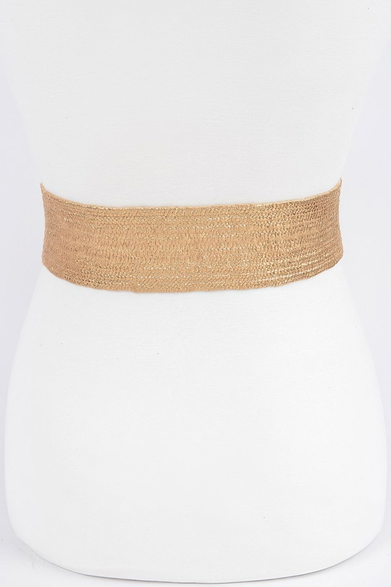 Wide Metal Buckle Clear Belt - It's a Girly Place