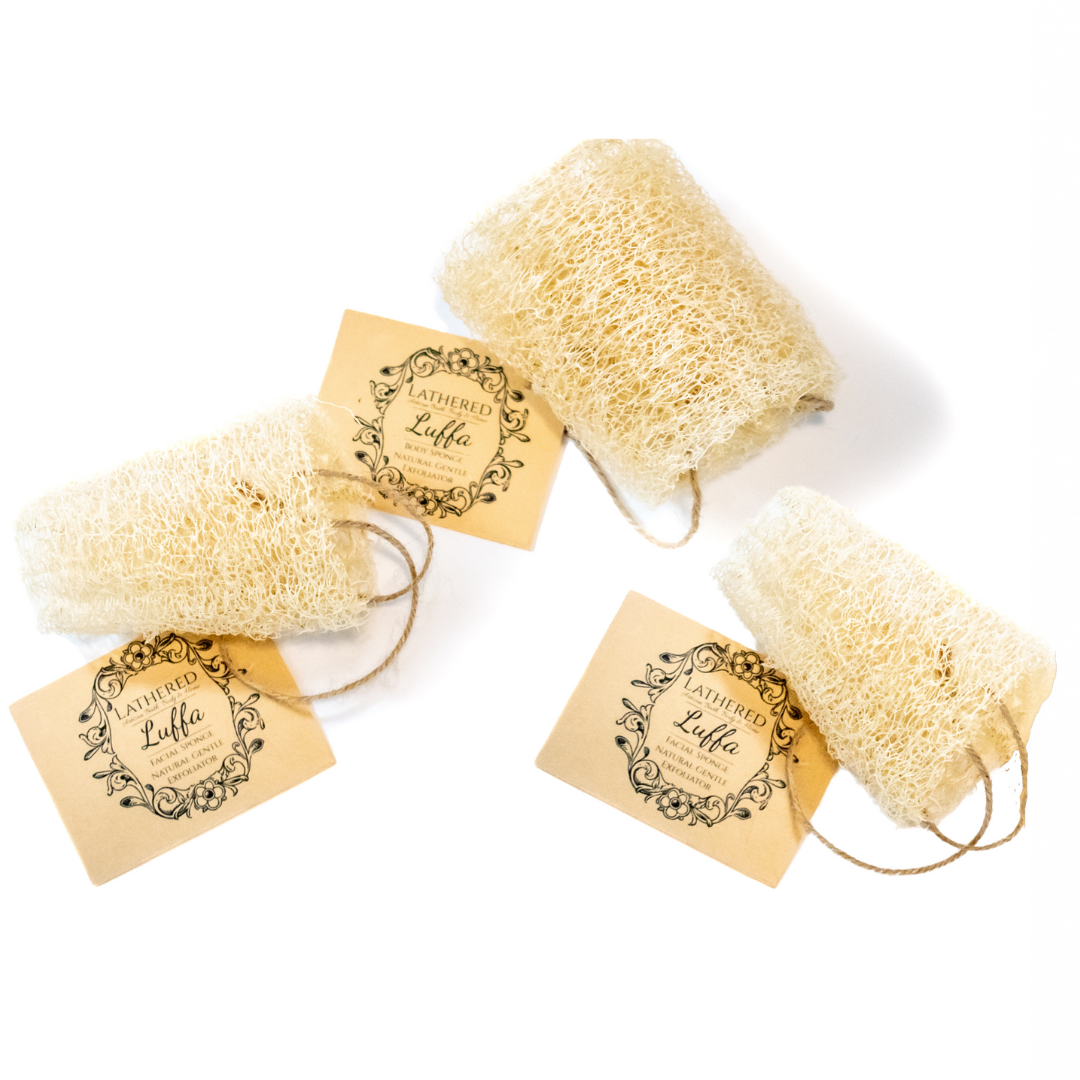 Luffa | Lightly Exfoliating | Facial Sponge