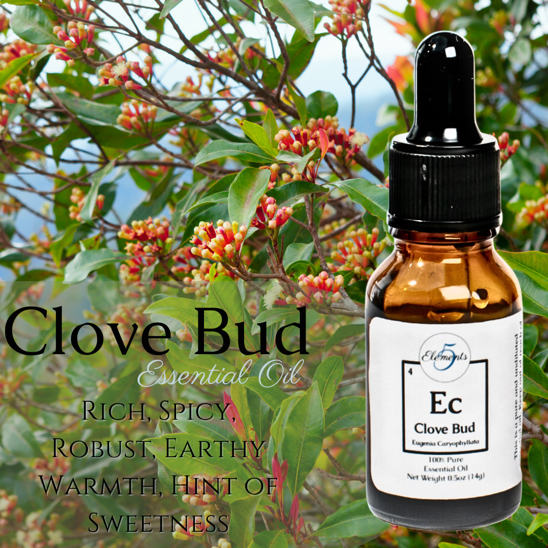 Clove Bud | Essential Oil | Eugenia caryophyllata