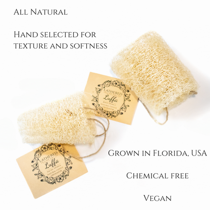 Luffa | Lightly Exfoliating | Facial Sponge