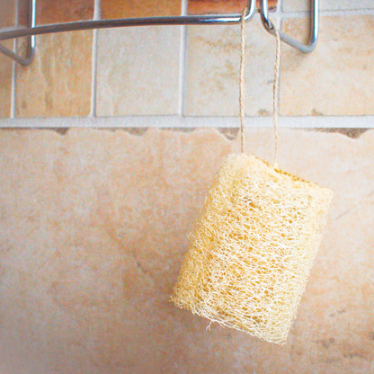 Luffa | Lightly Exfoliating | Facial Sponge
