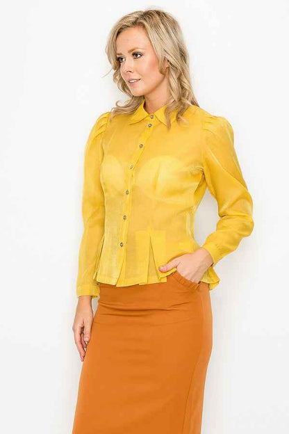Organza Pleated Long Sleeve Blouse