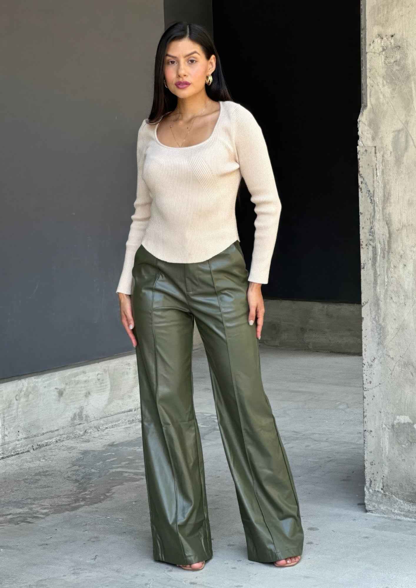 Front Pleated Faux Leather Wide Leg Pants