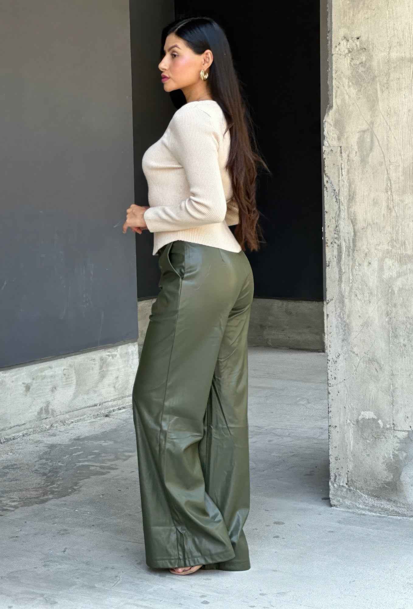 Front Pleated Faux Leather Wide Leg Pants