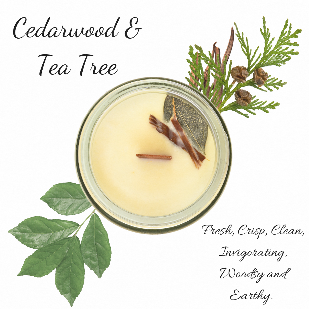 Cedarwood & Tea Tree | Essential Oil | 3 oz Jar Candle