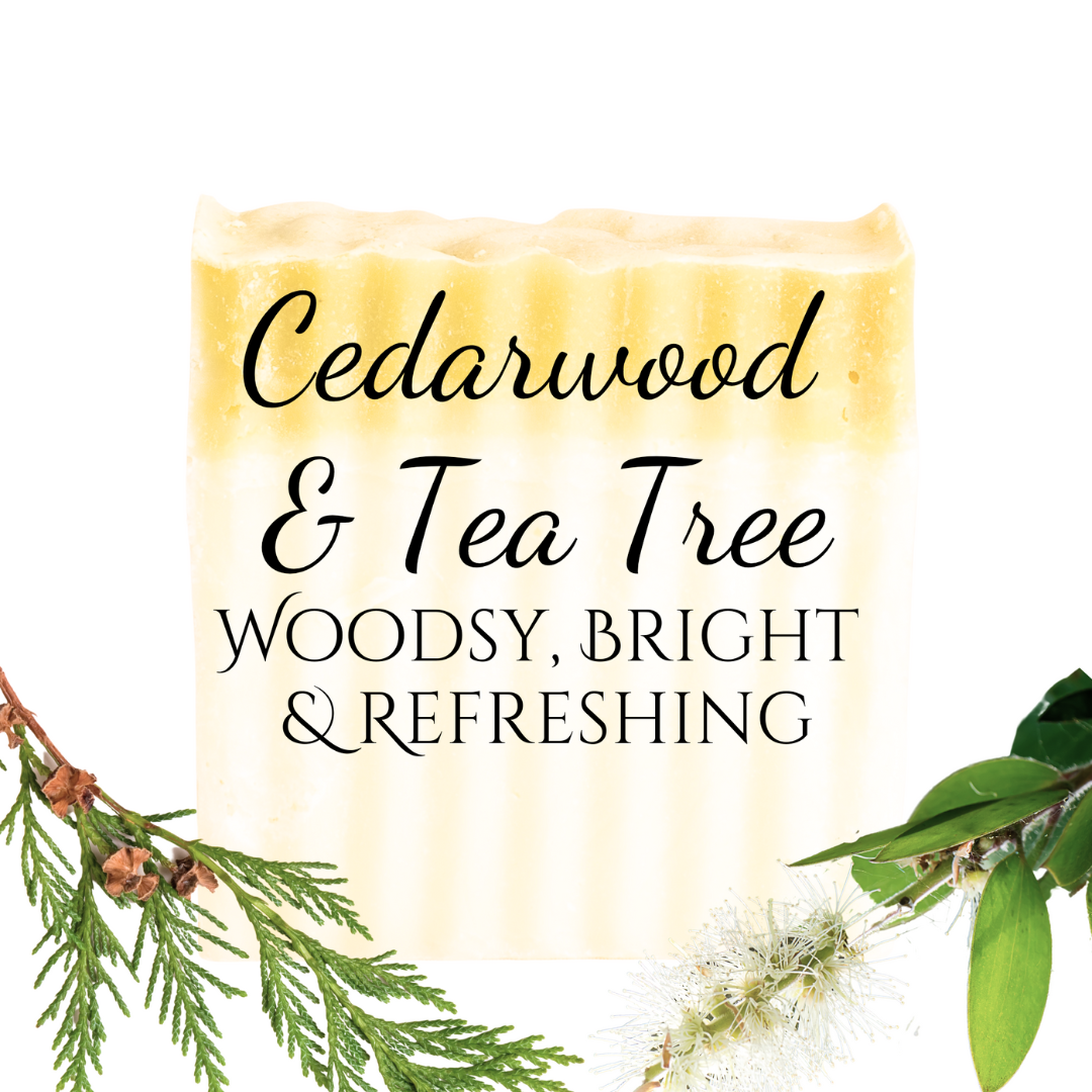 Cedarwood & Tea Tree | Essential Oil | Bar Soap