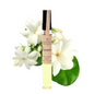Jasmine | Natural Fragrance | Oil Perfume