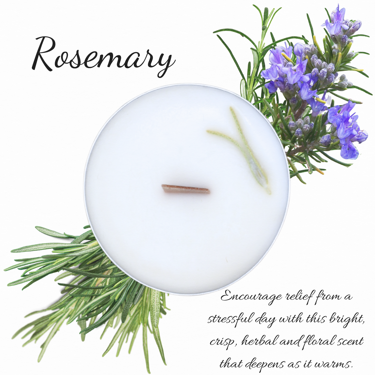 Rosemary | Essential Oil | Tealight Aluminum Cup Candles