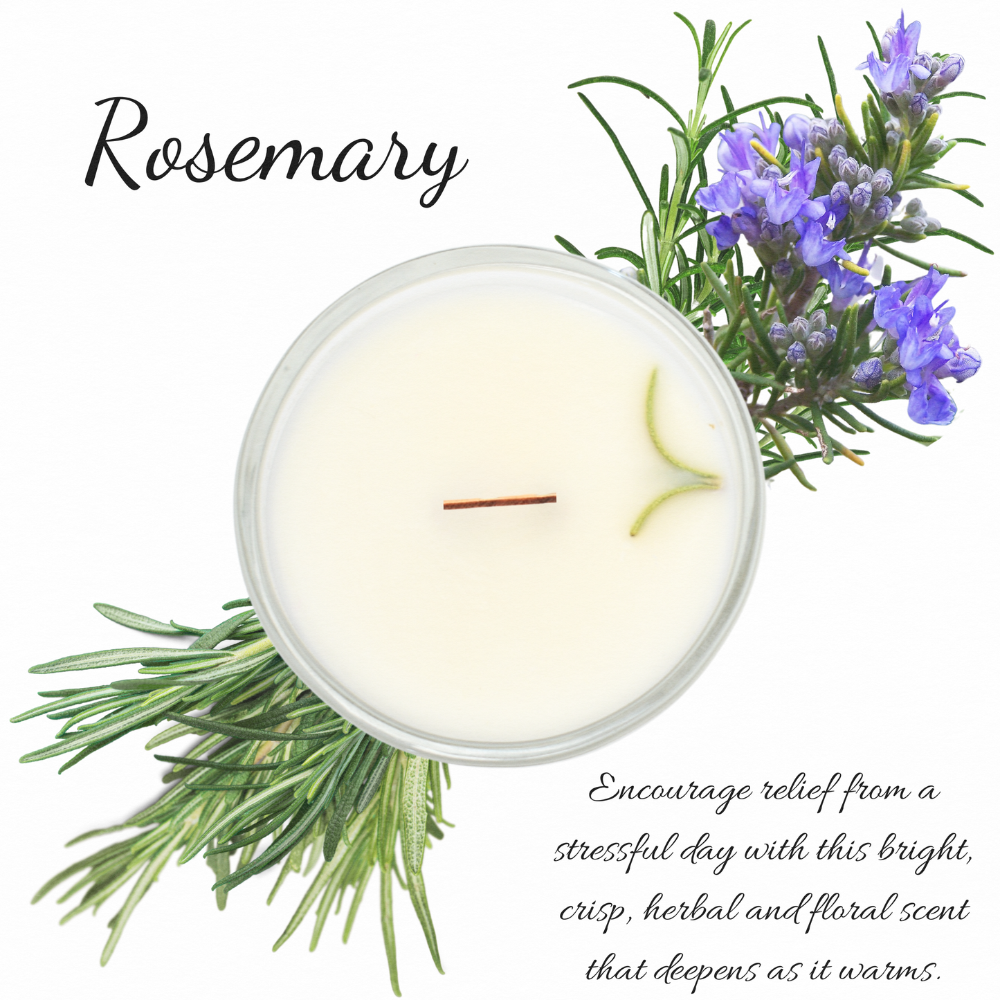 Rosemary | Essential Oil | Glass Cup Tealight Candles