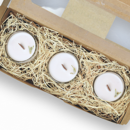 Rosemary | Essential Oil | Glass Cup Tealight Candles