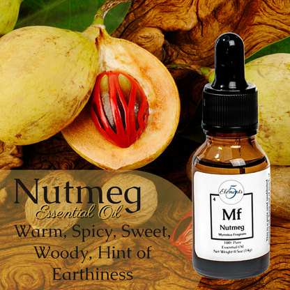 Nutmeg | Essential Oil | Myristica Fragrans