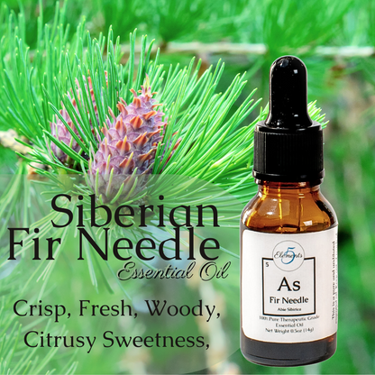 Siberian Fir Needle | Essential Oil | Abies Sibirica