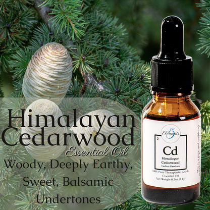 Himalayan Cedarwood | Essential Oil | Cedrus Deodora