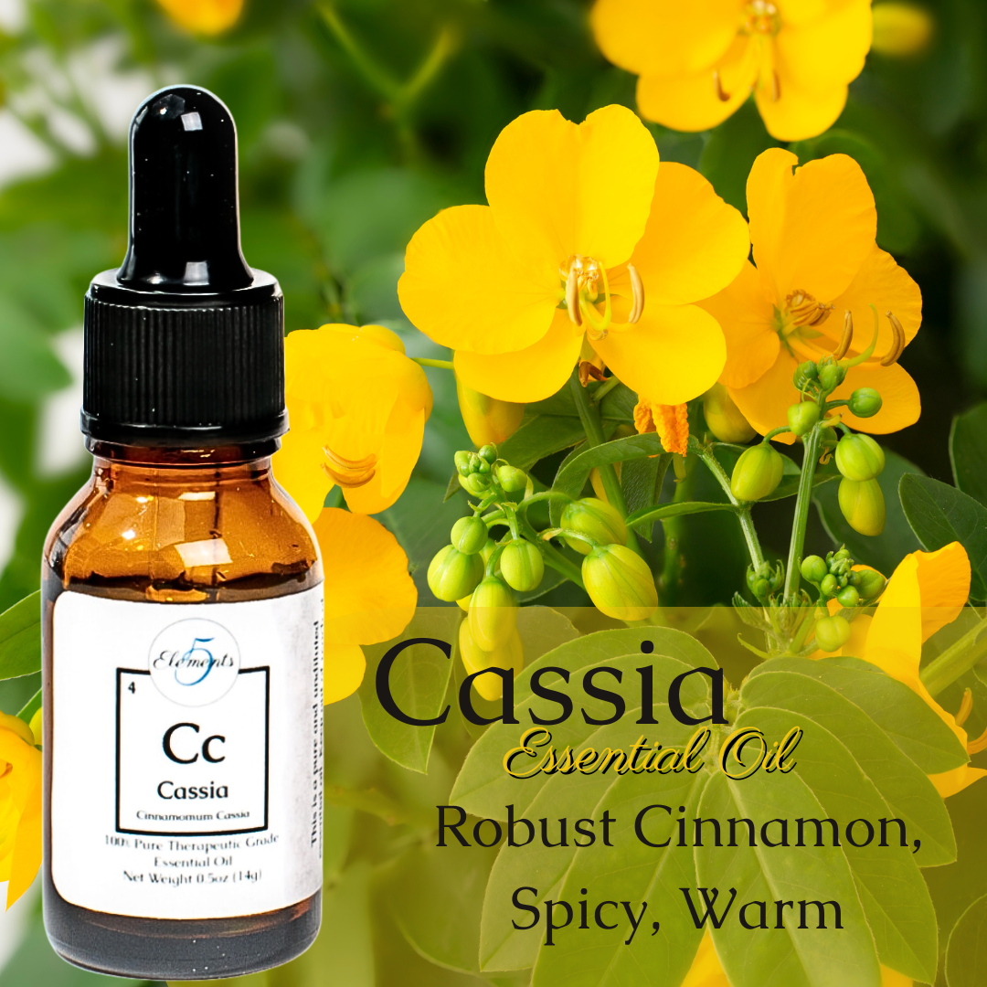 Cassia | Essential Oil | Cinnamomum cassia