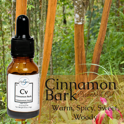 Cinnamon Bark | Essential Oil | Cinnamomum Verum