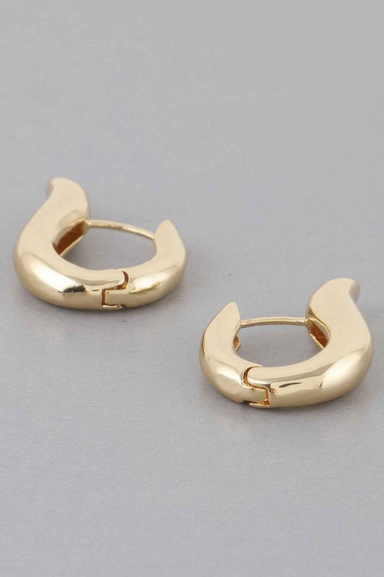 Shiny Harp Hoop Earrings