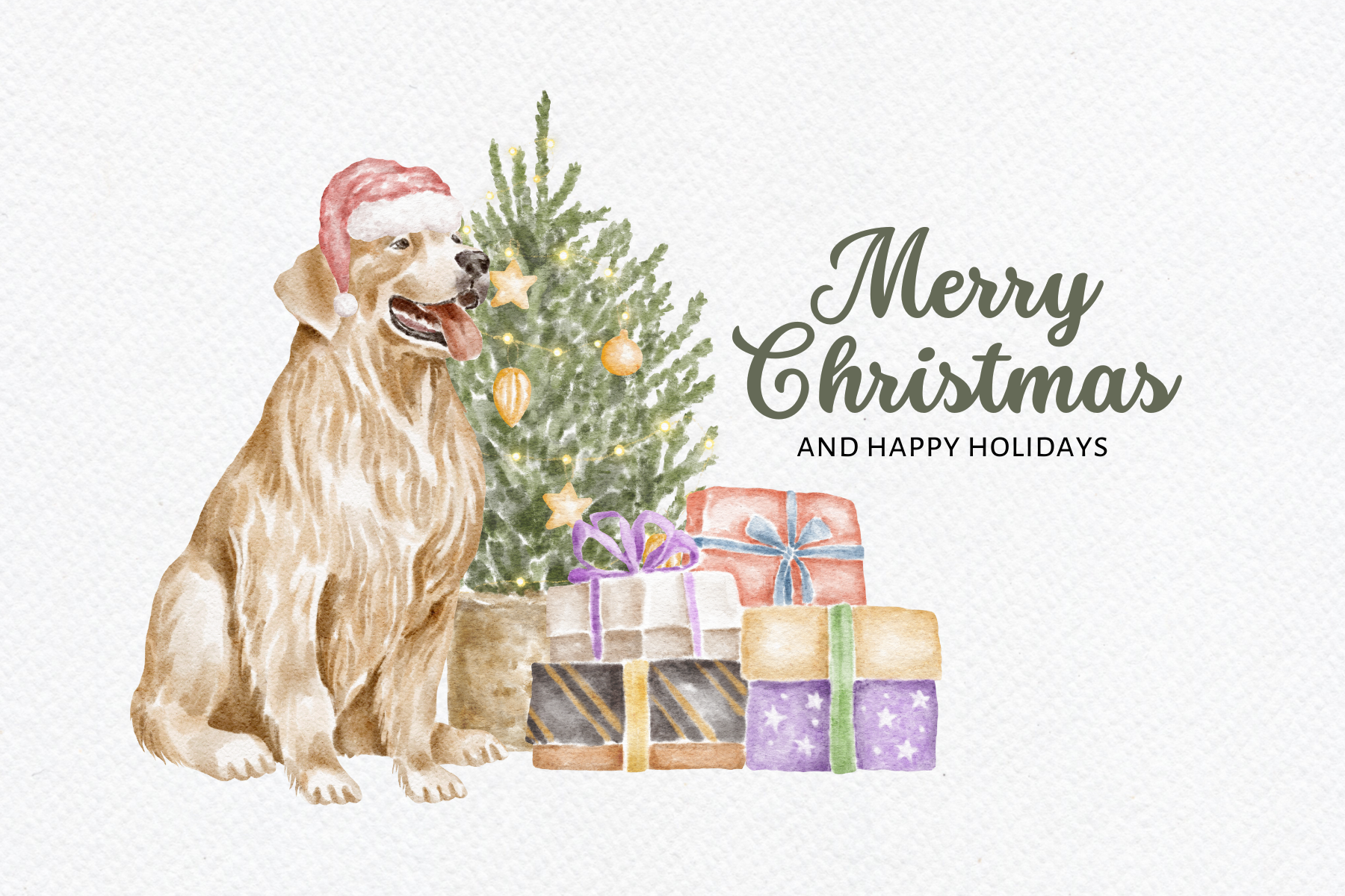 IT'S a GIRLY PLACE GIFT CARD