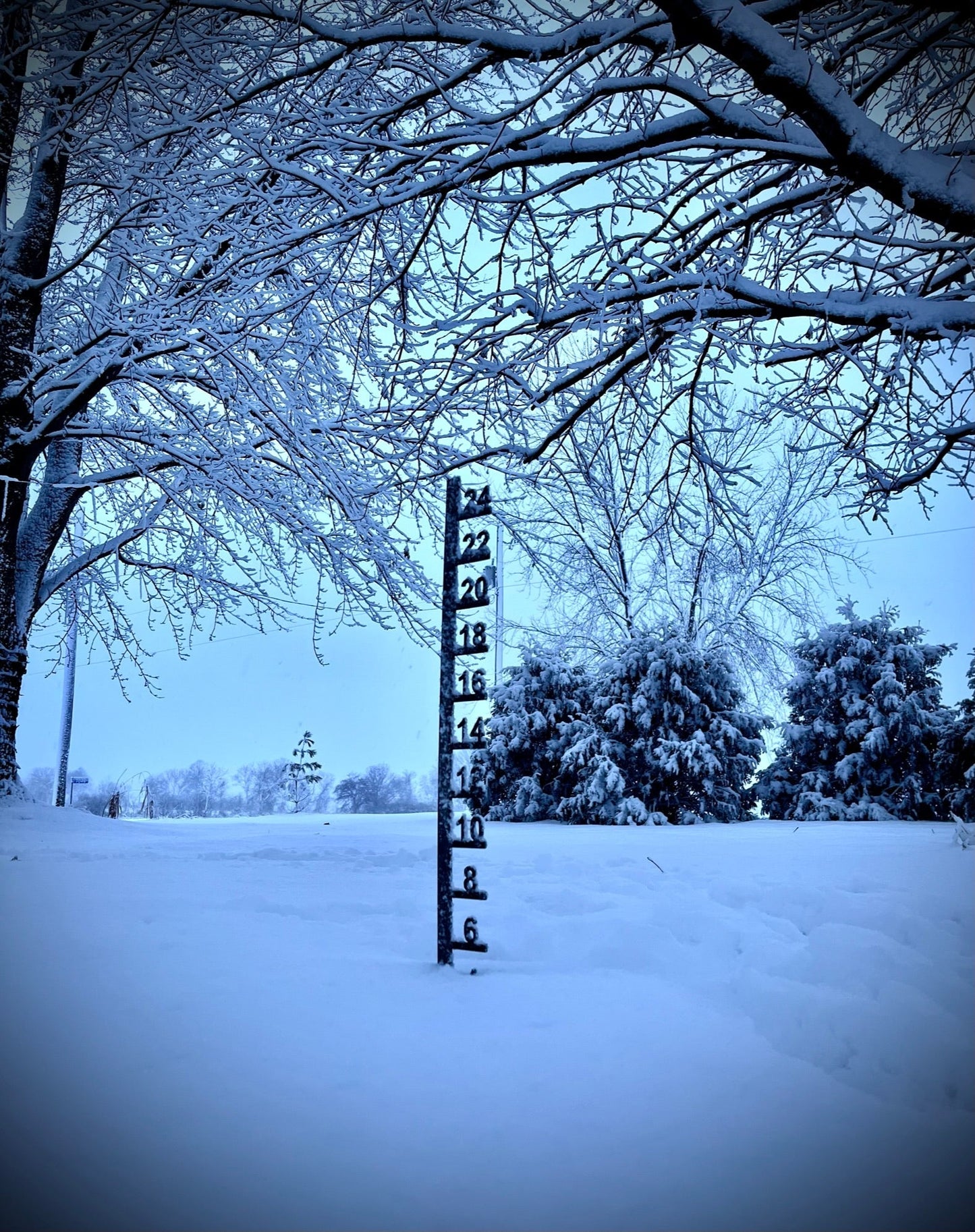Simple Steel Snow Gauge - Multiple Sizes
